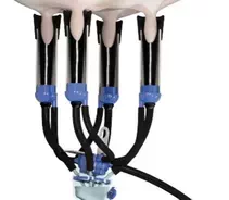 Dairymaster Milking Equipment Caring for Animal Health