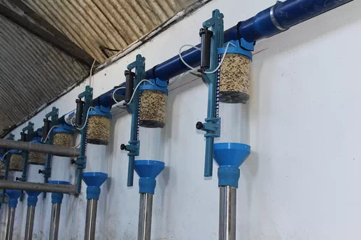 Automatic Addressable Feeding System
