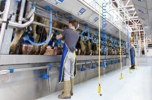 Milking Machine Auto-Start