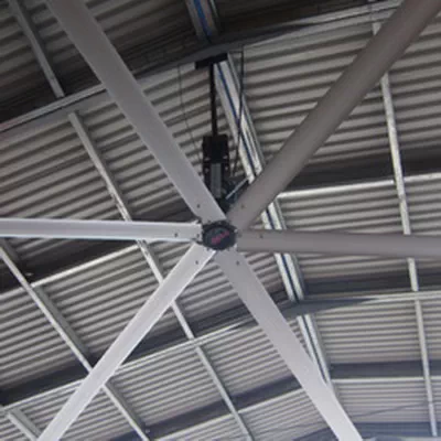Efficient exhaust fan for cowshed ventilation