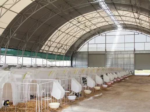 Calf Shelter Canopy
