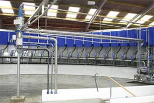 Central collector for milking process control