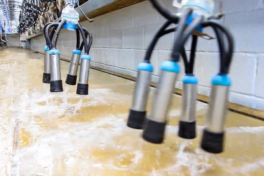 Disinfection of Milking Machines