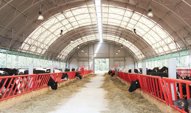 cowshed