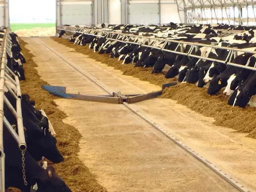 Feed Pushing Scraper System