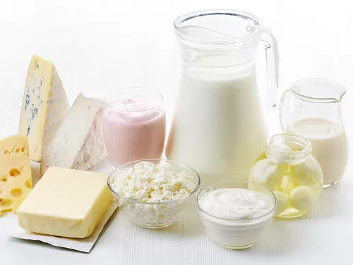 Fermented Products