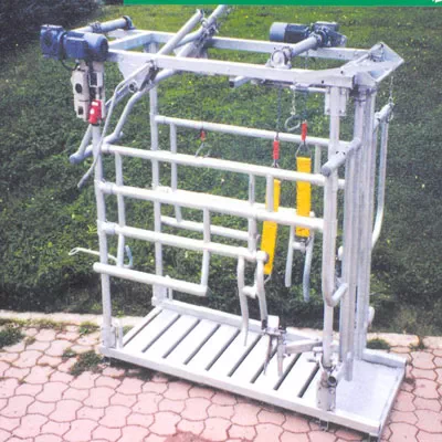Professional Taurofix station for precise cow hoof treatment