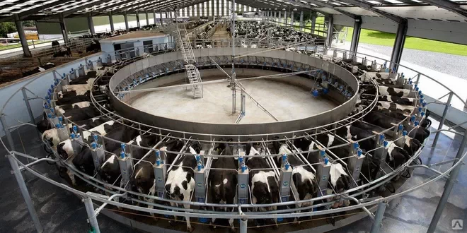 Innovative Dairymaster Milking Parlor