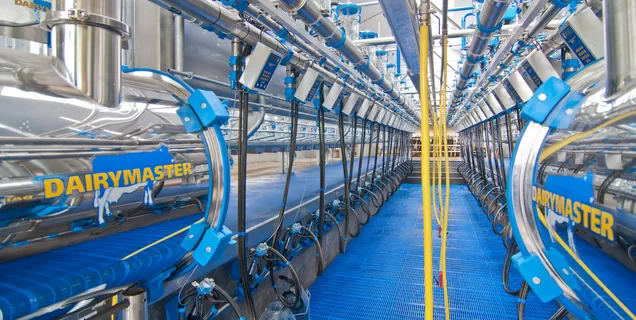 Innovative Dairymaster Milking Parlor