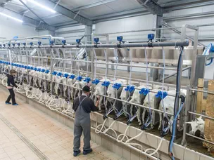 MobiGoat Milking Parlor for Goats