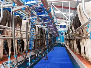 Swing Over Milking Parlor