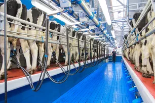 Milking system