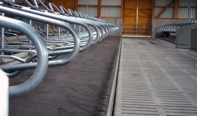 Comfortable rubber mats for cow stalls