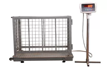 Animal Weighing Scales