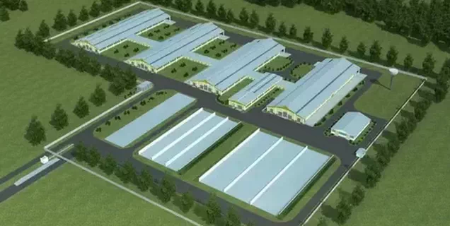 Farm for 1200 Heads