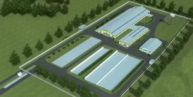 Efficient Cattle Farm for 300 Head Dairy Herd