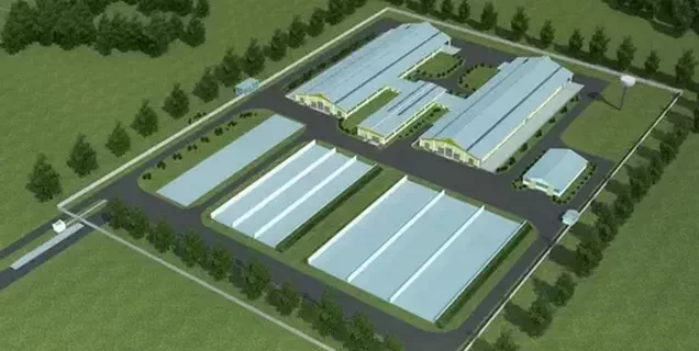 Cattle Farm for 600 Head