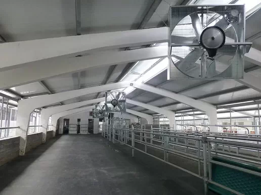 Ventilation for Cowsheds and Milking Blocks