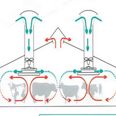 Comprehensive ventilation system for cowsheds